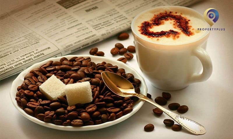 Khởi Nghiệp Quán Cà Phê - Cà phê và thức uống chất lượng