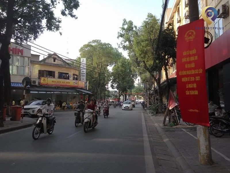 phường phạm đình hổ