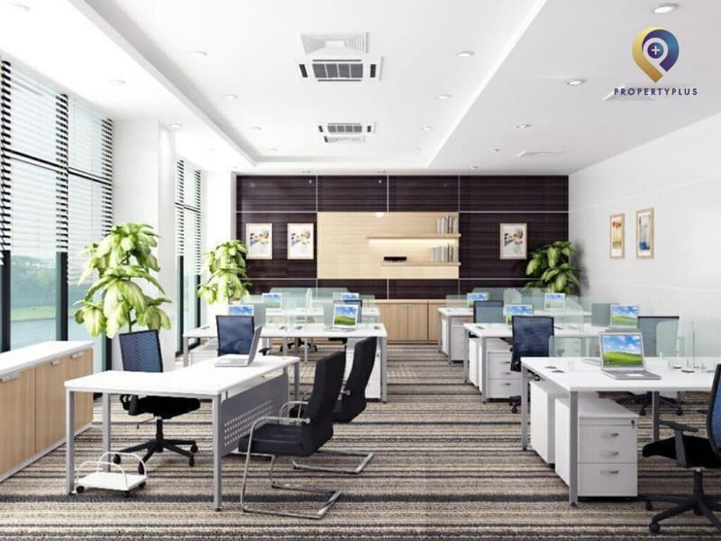Thiết kế văn phòng 40m2 phong cách xanh