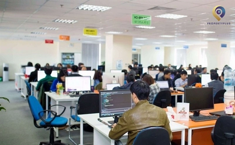  văn phòng cho ngành công nghệ thông tin 