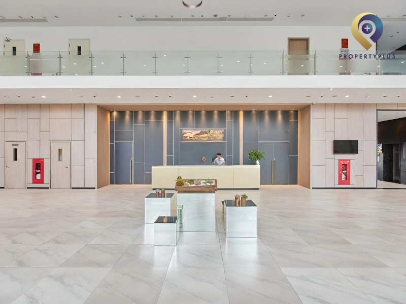PentStudio